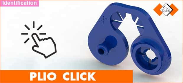 PLIO CLICK identification solution blog article snippet