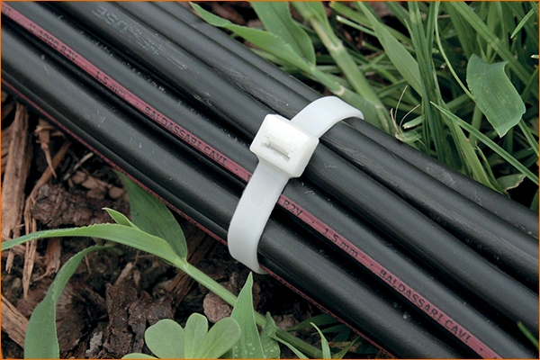 Attache-câble Biodégradable SES-QUICK BIO maintenant un faisceau de câbles
